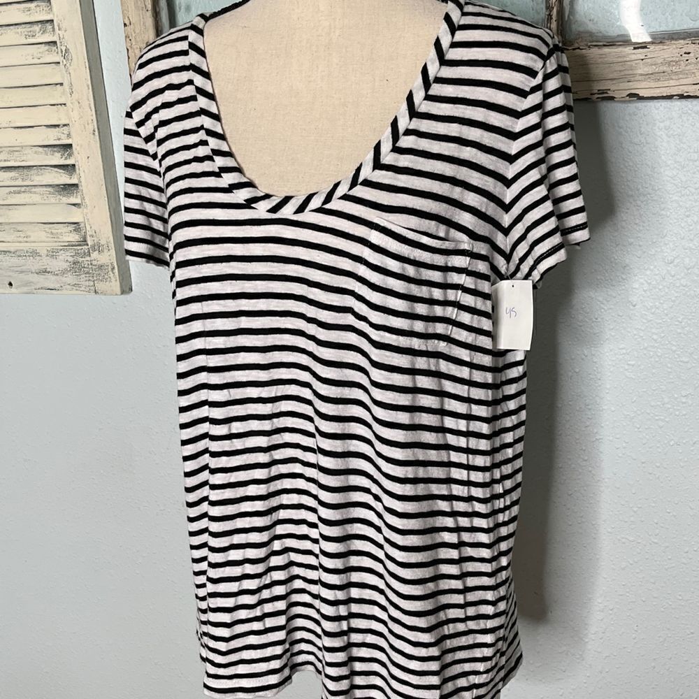 NWT Caslon T-Shirt  - Picture 2 of 8